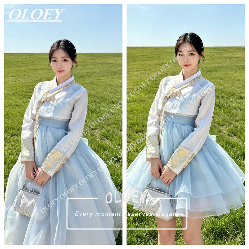 أولوي فستان زفاف كوري أنيق بال - مراجعة Hanbok Modern Set وسعره